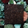 nature_cork
